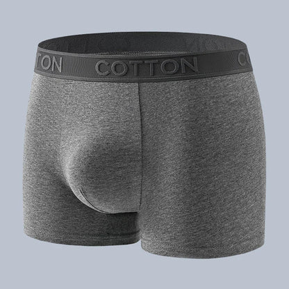 Herren Boxer Briefs Set Mit Regulärer Passform | Tägliche Essentials