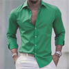 Herren Slim Fit Langarm Hemd mit Knopfleiste einfEarbig | Formal