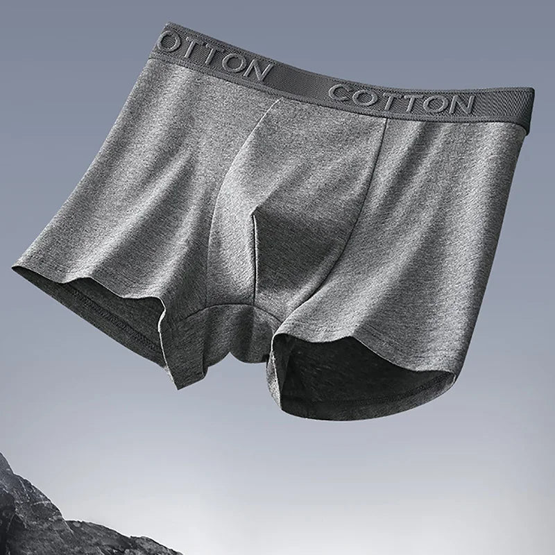 Herren Boxer Briefs Set Mit Regulärer Passform | Tägliche Essentials