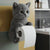 Chat gris clair