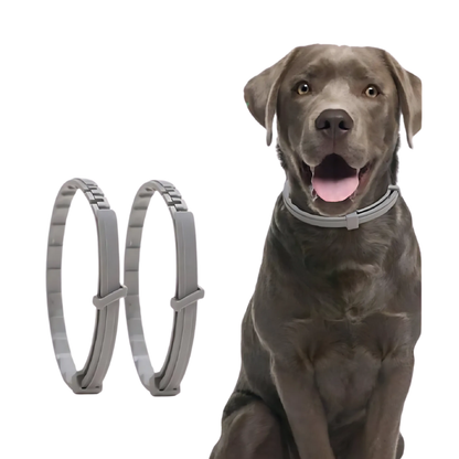 Zeckenschutz-Halsband für Hunde & Katzen – Pflanzlich & Wasserfest 0